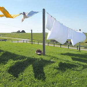 8mm Nylon Magneet Visserijkabel 65 van de Veiligheidsvoet Kabel met Carabiner 9